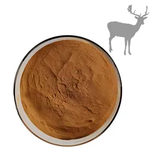 Supply Natural Supplement Deer Antler Velvet Extract Powder Deer antler extract