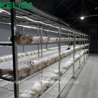 Fabricant spécialisé dans les serres tunnel pour la culture des champignons