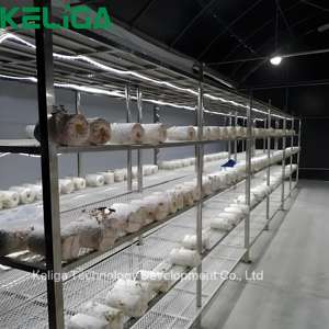 Fabricant spécialisé dans les serres tunnel pour la culture des champignons - Product Image 3