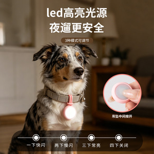 Colgante de silicona con luz LED para mascotas, para perros y gatos, para paseos nocturnos, antipérdida, adorno - Product Image 3
