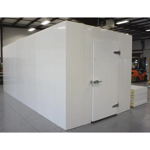 Contenedor Refrigerado <span class=keywords><strong>de</strong></span> 20 pies y 40 pies, Cámara Frigorífica <span class=keywords><strong>de</strong></span> <span class=keywords><strong>Segunda</strong></span> <span class=keywords><strong>Mano</strong></span>, Pintado y con Logotipo Personalizado - Product Image 2