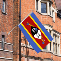 Vente en gros 3x5ft drapeaux du Swaziland polyester 68D/100D Personnaliser toutes les nations expédition rapide Fournisseur fiable livraison rapide