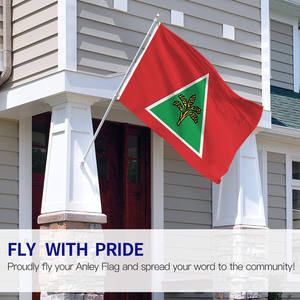 Фабричный дешевый изготовленный на заказ водонепроницаемый 3*5 футов 100% полиэстер уличный малазийский флаг движения за гражданские дела - Product Image 2