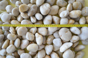 White <strong>Polished</strong> Types of Pebbles <strong>Stone</strong> Clean Serene Versatile Stones for Tranquil Gardens Water Features Decorative Landscaping - Product Image 2