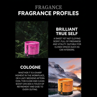 Parfum pour voiture, désodorisant pour voiture, aromathérapie, parfum d'ambiance pour voiture, désodorisant pour voiture Lux