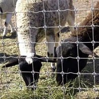 Grillage tissé galvanisé pour clôture de cerfs, filet métallique pliable pour bétail, chevaux, moutons, ranch, anti-rouille
