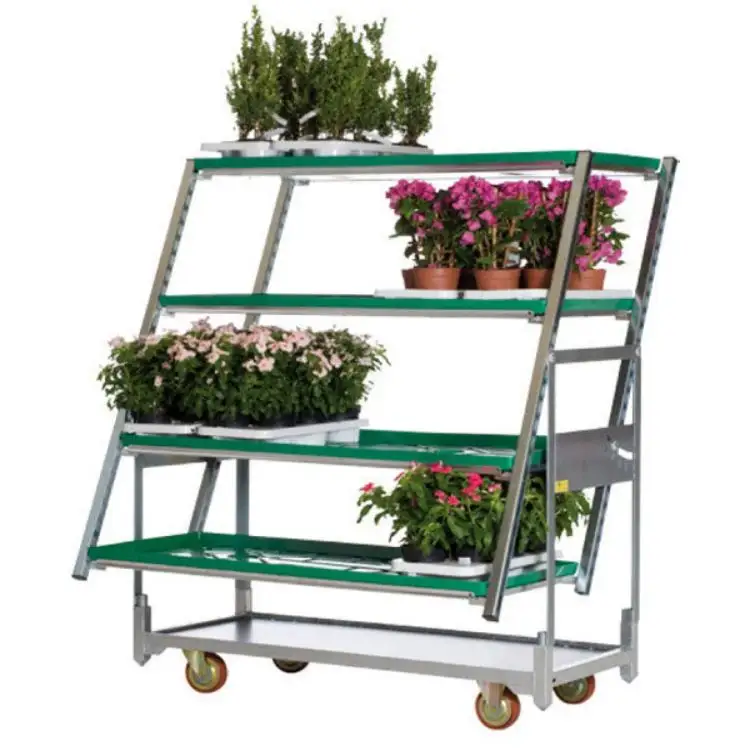 Commercio all'ingrosso zincato impianto vivaio rete metallica carrelli metallici per il trasporto di fiori
