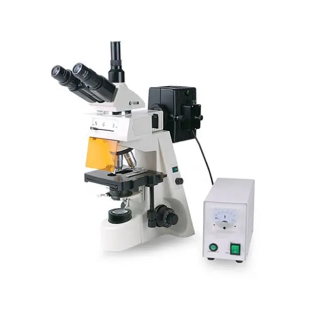 XYL-146YA/146YAT Fluorescence Microscope With High Quality