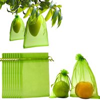 100 stuks polyester fruitbeschermingszakken groene nettenhoes trekkoordgaas eenvoudig te monteren ongediertescherm voor de tuin