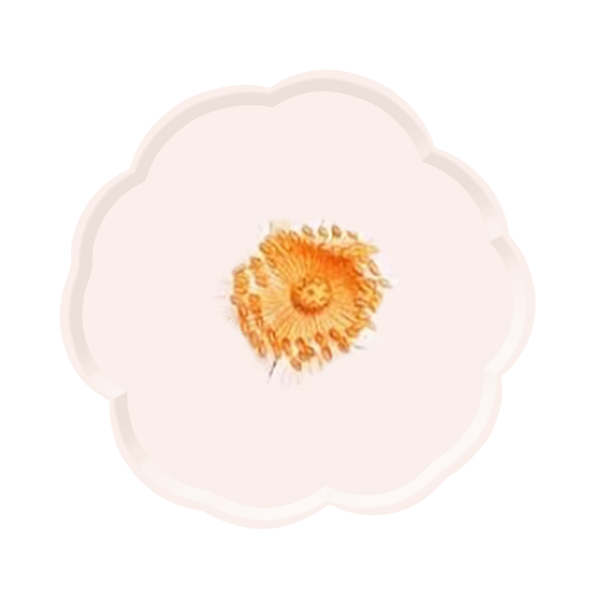 Plato de papel de 9 pulgadas * 8 unidades