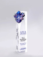 Trophée en cristal personnalisé avec logo et couleur sur mesure, design floral créatif en verre, récompenses pour équipes de championnat, réunion annuelle, excellence