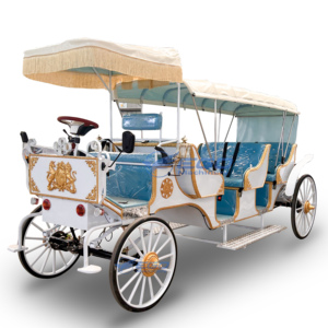Carroza Eléctrica de Lujo Estilo Clásico Azul para Turismo, Vehículo sin Caballos para Paseos Turísticos, Gran Venta - Product Image 4