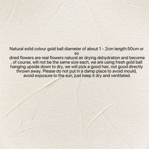 Boutons Billy séchés Bouquet jaune Craspedia naturel Décoration de mariage Bricolage Artisanat - Product Image 3