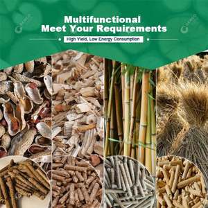 फल पत्थर गोली मशीन हवा बंदूक छर्रों मशीन गोली प्रेस मशीन 10 टन प्रति घंटे 23I8 - Product Image 6