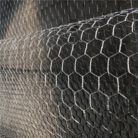 Grillage hexagonal galvanisé à chaud pour cages à poulets, clôture pour volailles, personnalisable, vente chaude