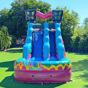 Toboggan aquatique gonflable double piste avec piscine amovible, idéal pour l'été – Nouveauté en promotion ! - Product Image 3