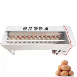 Equipo limpiador de huevos automático Lavadora de huevos a la venta