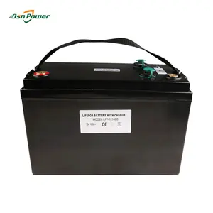 Deep Cycle 12V 100AH LiFePO4 Lithium Iron Phosphate Car Battery Marine Solar RV Batteries with Canbus Communication