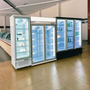 Congélateur vertical pour le marché brésilien, présentoir pour bols d'açaï, fruits tropicaux, plateaux de fromages, pizzas surgelées |   Verre nano antibactérien -25C - Product Image 1