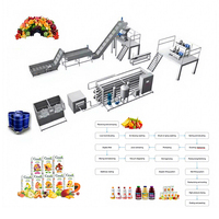 Energiezuinige, hoog-efficiënte, roestvrijstalen, multifunctionele, volautomatische industriële machines voor de verwerking van fruit en groenten