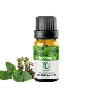 Wholesale Massage Oil Body High Pure Natural Food Grade Distiller Oregano Essential Oil for Capsules and Additive