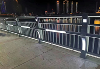 Barrière de projecteur LED pour éclairage de pont piétonnier en acier inoxydable pour projets municipaux