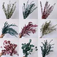 100g de fleurs préservées, eucalyptus bleu bébé/eucalyptus à feuilles étroites, plantes réelles pour décoration intérieure verte