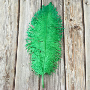 Plumes d'autruche colorées, 1 pièce, 65-70cm, Plumes naturelles, pour décoration de carnaval, <span class=keywords><strong>mariage</strong></span>, fête à domicile, vente en gros - Product Image 6