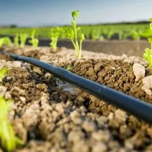 2023 Nieuwe Type Roll Farm Landbouw 1 Hectare Irrigatiesysteem Druppelpijp Druppelirrigatie Pijp Voor Druppelirrigatiesysteem