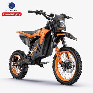 Envío Gratuito en la UE, Motocicleta Eléctrica de 48V 3000W con Tracción Media, Motocicleta Todoterreno, 50 km/h de Alta Velocidad, E-moto para Adultos, Freno Hidráulico Doble - Product Image 1