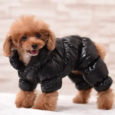Veste d'hiver en coton épais pour chien, tenue chaude et confortable, vêtement pour animaux de compagnie, petit gabarit