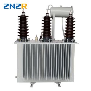 Leistung 11kV 30KVA 50KVA 100KVA 150KVA 200KVA 250KVA 300KVA 500KVA Ölgekühlter Elektrischer Leistungsverteilungstransformator Preis - Product Image 3