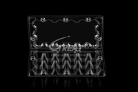 Boîte à clapet en plastique recyclable PET de haute qualité 18 trous Plateau à oeufs de caille Plateau à oeufs en plastique transparent