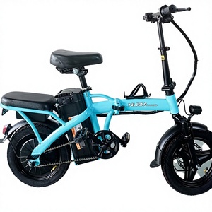 Vélo Électrique Pliant 2025 en Promotion Usine, 500W 48V, Écran LCD 14 Pouces, Cadre en Acier, 3 Vitesses, Vélo de Ville Électrique - Product Image 3