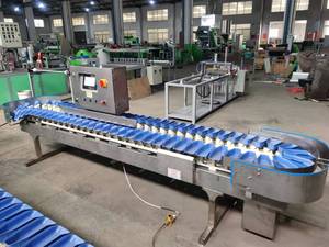 Máy Phân Loại Tự Động Hoàn Toàn Từ Quả Bơ Lê - Product Image 3