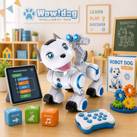 Robot chien patrouilleur intelligent K10 en gros, jouet électronique interactif pour enfants, cadeau pour jeunes enfants