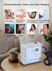 Générateur d'ozone A&R ARO-8001LT de haute qualité, garantie 1 an pour le traitement de l'eau, productivité de 300 mg/h, écran d'affichage, fabriqué en Chine - Product Image 6