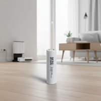 Nouvelle batterie Li-ion rechargeable A-level DMEGC 32E 18650 3200mAh 3.7V 5C pour console de jeu, robot aspirateur et vélo électrique