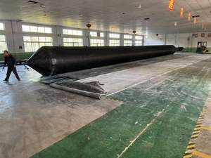 बड़ी ले जाने की क्षमता inflatable उठाने/ccccs प्रमाणपत्र के साथ गुब्बारा लॉन्च करना - Product Image 6