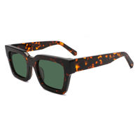 Nouvelle Arrivée 2026 – Lunettes de Soleil Carrées de Luxe de Haute Qualité avec Logo Personnalisé, Monture en Acétate Polarisée, Protection UV, Confort Optimal, Monture Complète