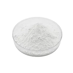 Factory Supply High Quality 99% Rutile /Anatase Titanium Dioxide White Pigment Used For Plastic Ink And Rubber