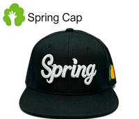 Gorra de Béisbol Unisex con Visera Plana, Diseño Personalizado ODM, 6 Paneles, Algodón Negro, Logotipo Bordado en 3D, Cierre a Presión