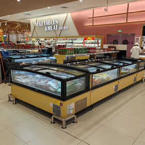 Congélateur commercial pour îlot de supermarché, avec éclairage LED, 2 portes vitrées, refroidissement direct, dégivrage automatique, contrôle numérique pour aliments surgelés - Product Image 3
