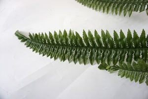 Vie Naturelle Artificielle Fougère de Boston Rustique Décorative Maison <span class=keywords><strong>Jardin</strong></span> Herbe Arbustes Plastique Plantes Décoratives d'Intérieur - Product Image 4