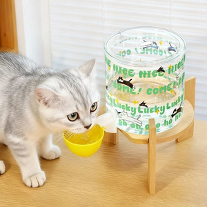 Distributeur d'eau automatique pour chat, grande capacité, sans prise, seau en verre silencieux pour chat et chien - Product Image 3