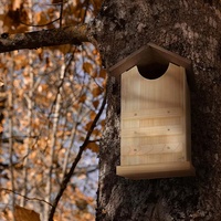 Nichoirs pour hiboux des sentiers extérieurs - Boîte de nidification pour oiseaux sauvages
