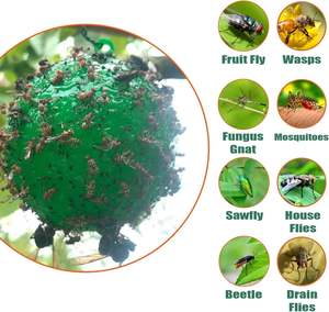 Trampa <span class=keywords><strong>para</strong></span> Moscas en Oferta, Trampa <span class=keywords><strong>para</strong></span> Moscas en Forma de Bola <span class=keywords><strong>para</strong></span> Interiores, Bola Adhesiva <span class=keywords><strong>para</strong></span> Insectos Colgante <span class=keywords><strong>para</strong></span> Exteriores, Trampa <span class=keywords><strong>para</strong></span> Mosquitos <span class=keywords><strong>para</strong></span> <span class=keywords><strong>Plantas</strong></span> de Interior y Cocina - Product Image 6
