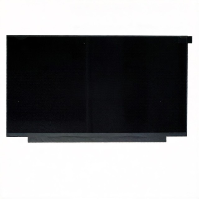 BOE NE156QHM-NZ2 IPS 240Hz 100% SRGB 9ms Response Time 300cd/m Black 16:9 LCD Display for Desktop