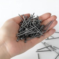 Clous ronds personnalisés en acier à faible teneur en carbone pour les clous en fer ordinaires, spécialement conçus pour les charpentiers dans la décoration de bâtiments