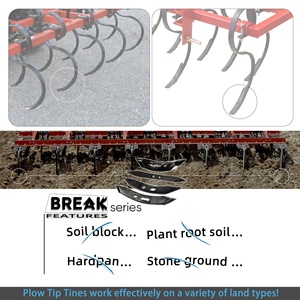 ABLSON Piezas de Equipos Agrícolas y Rastra de Dientes de Resorte con Punta de Arado de 3 Puntos <span class=keywords><strong>para</strong></span> Tractores Dong Feng, <span class=keywords><strong>Surcadora</strong></span> Agrícola - Product Image 2